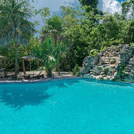 Jolie Jungle Eco Hotel (Adults Only) Leona Vicario 외부 사진