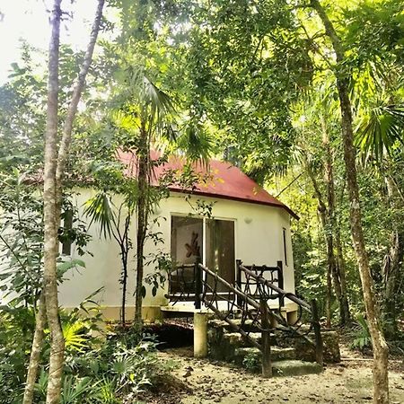 Jolie Jungle Eco Hotel (Adults Only) Leona Vicario 외부 사진
