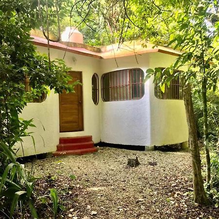 Jolie Jungle Eco Hotel (Adults Only) Leona Vicario 외부 사진