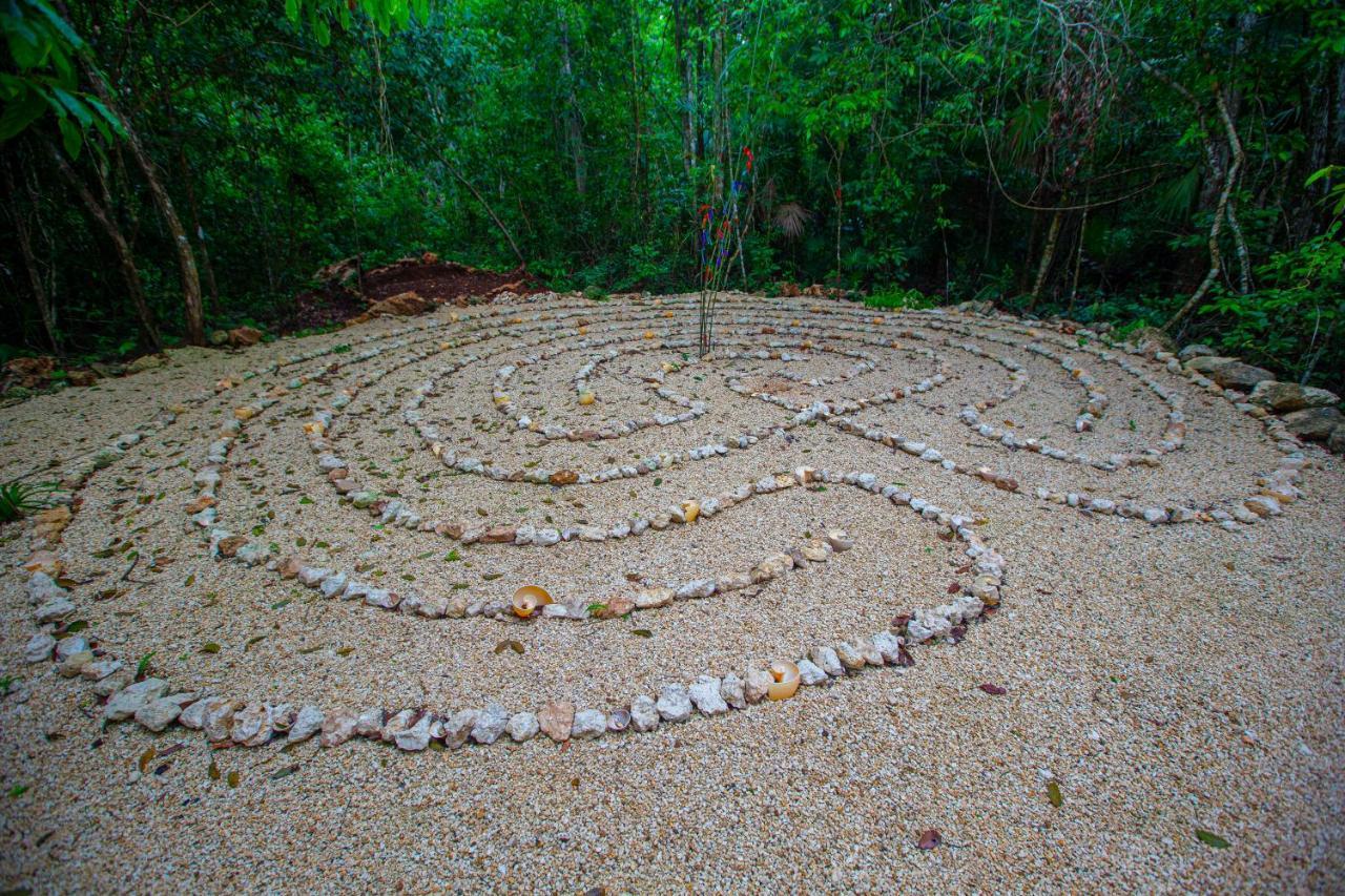 Jolie Jungle Eco Hotel (Adults Only) Leona Vicario 외부 사진