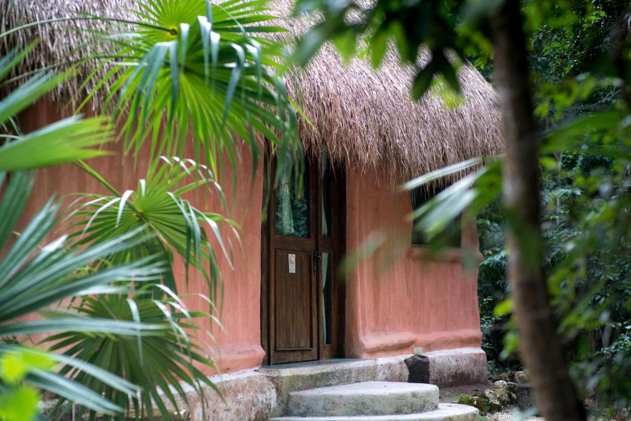 Jolie Jungle Eco Hotel (Adults Only) Leona Vicario 외부 사진