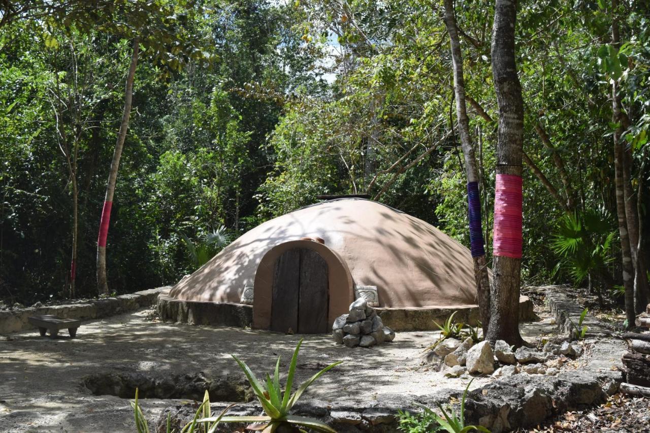 Jolie Jungle Eco Hotel (Adults Only) Leona Vicario 외부 사진