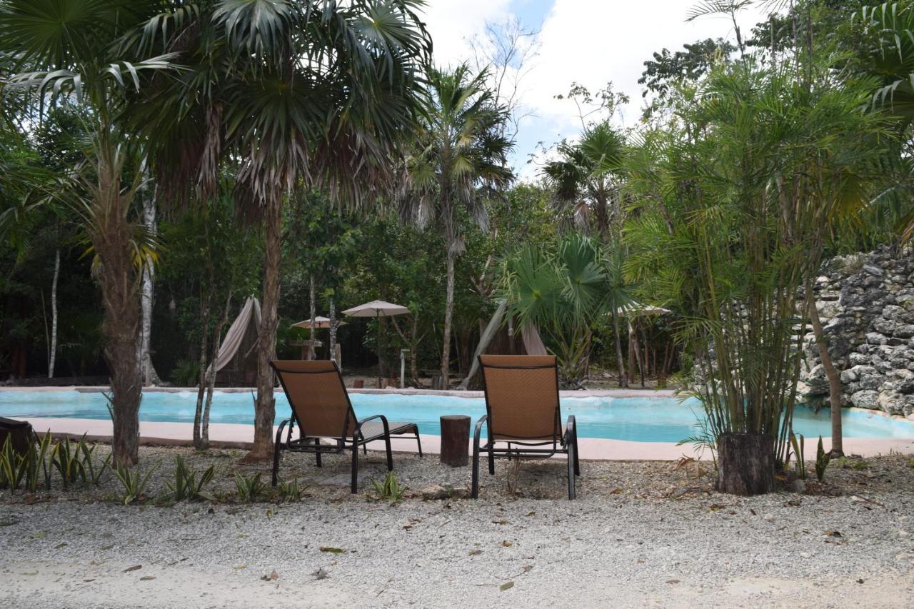Jolie Jungle Eco Hotel (Adults Only) Leona Vicario 외부 사진