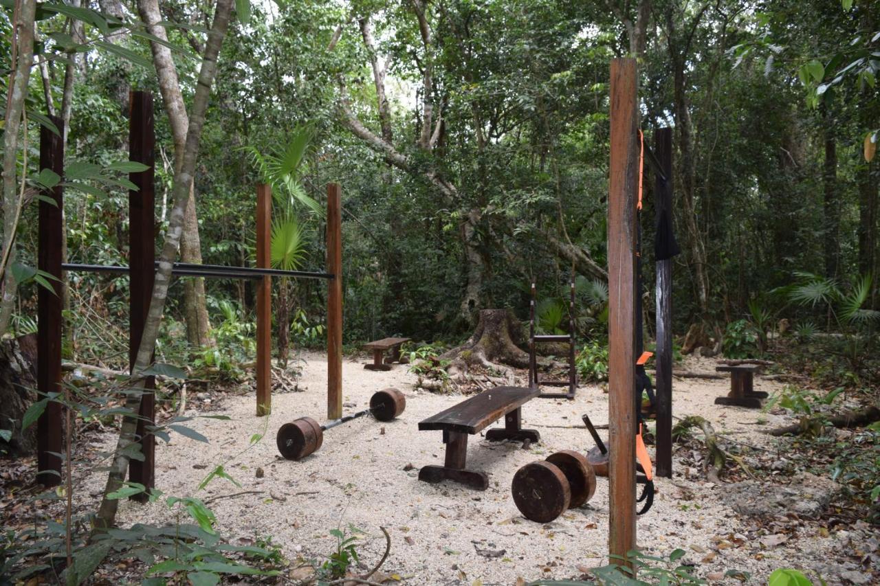 Jolie Jungle Eco Hotel (Adults Only) Leona Vicario 외부 사진