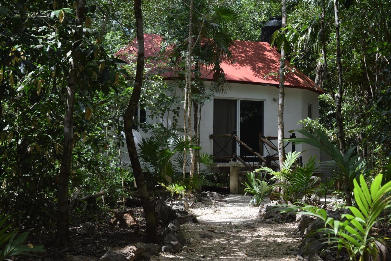 Jolie Jungle Eco Hotel (Adults Only) Leona Vicario 외부 사진