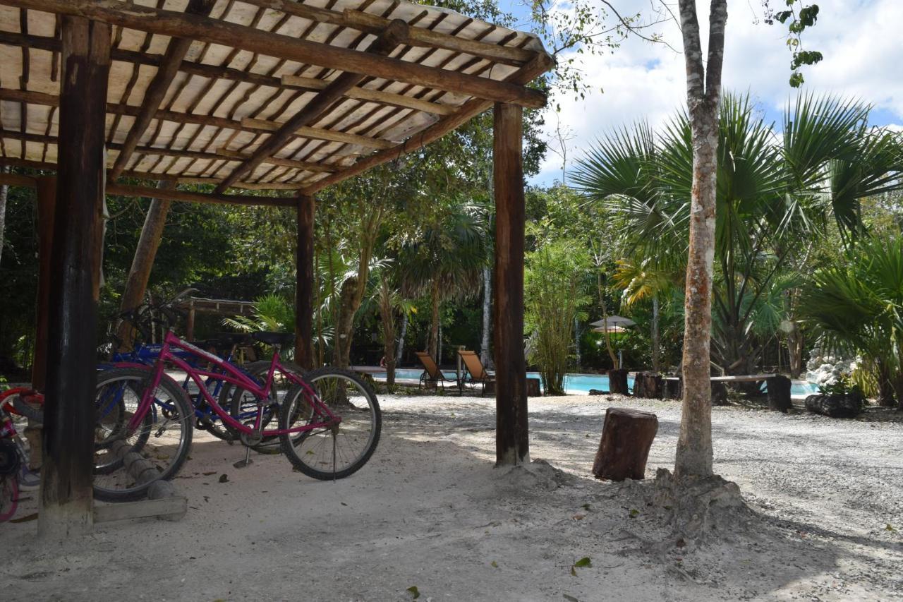 Jolie Jungle Eco Hotel (Adults Only) Leona Vicario 외부 사진