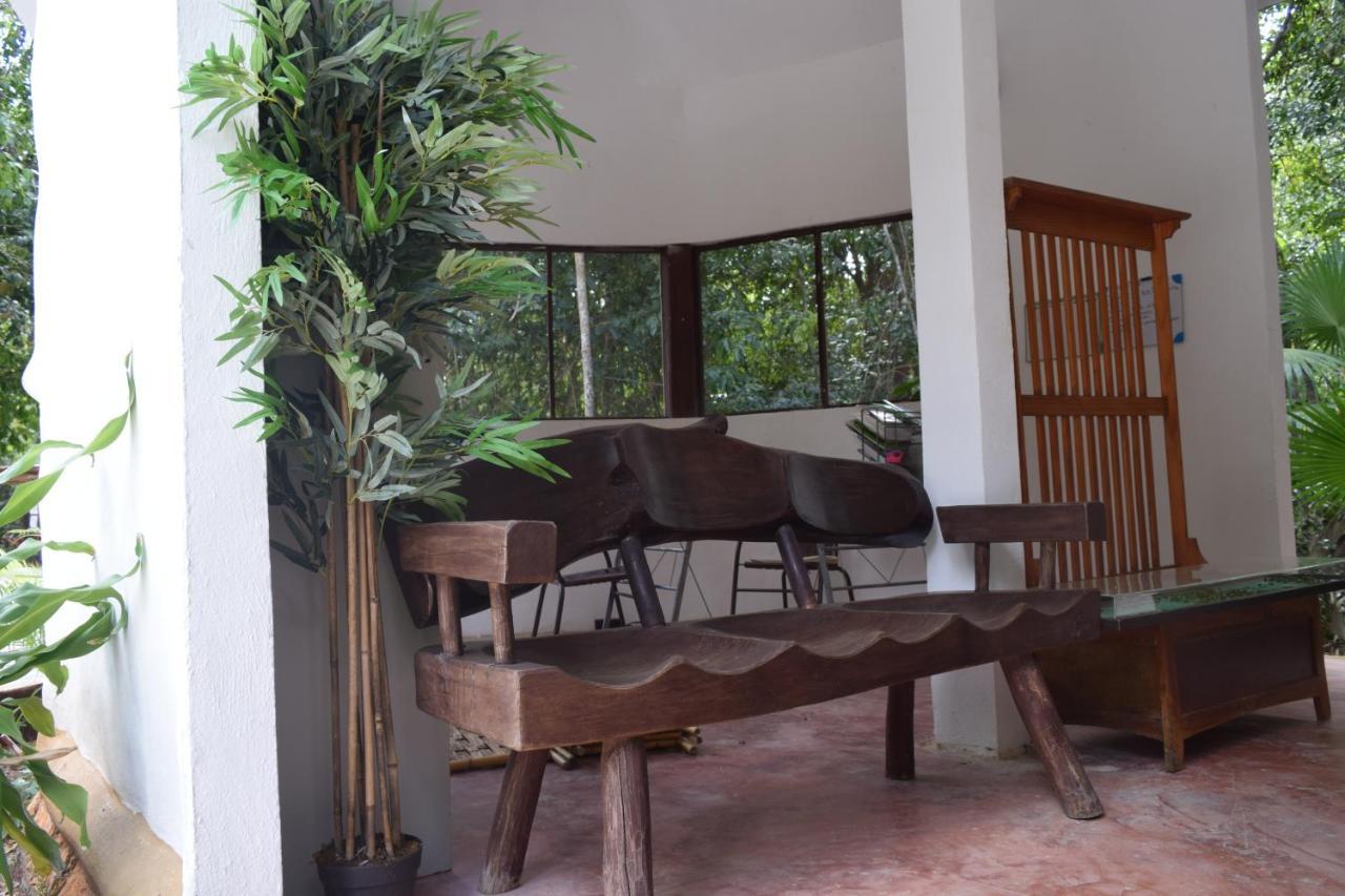 Jolie Jungle Eco Hotel (Adults Only) Leona Vicario 외부 사진