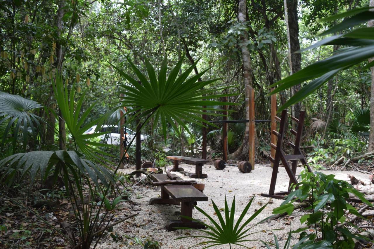 Jolie Jungle Eco Hotel (Adults Only) Leona Vicario 외부 사진