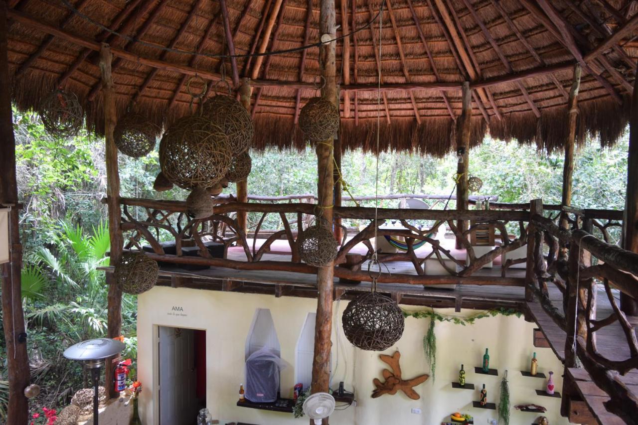 Jolie Jungle Eco Hotel (Adults Only) Leona Vicario 외부 사진