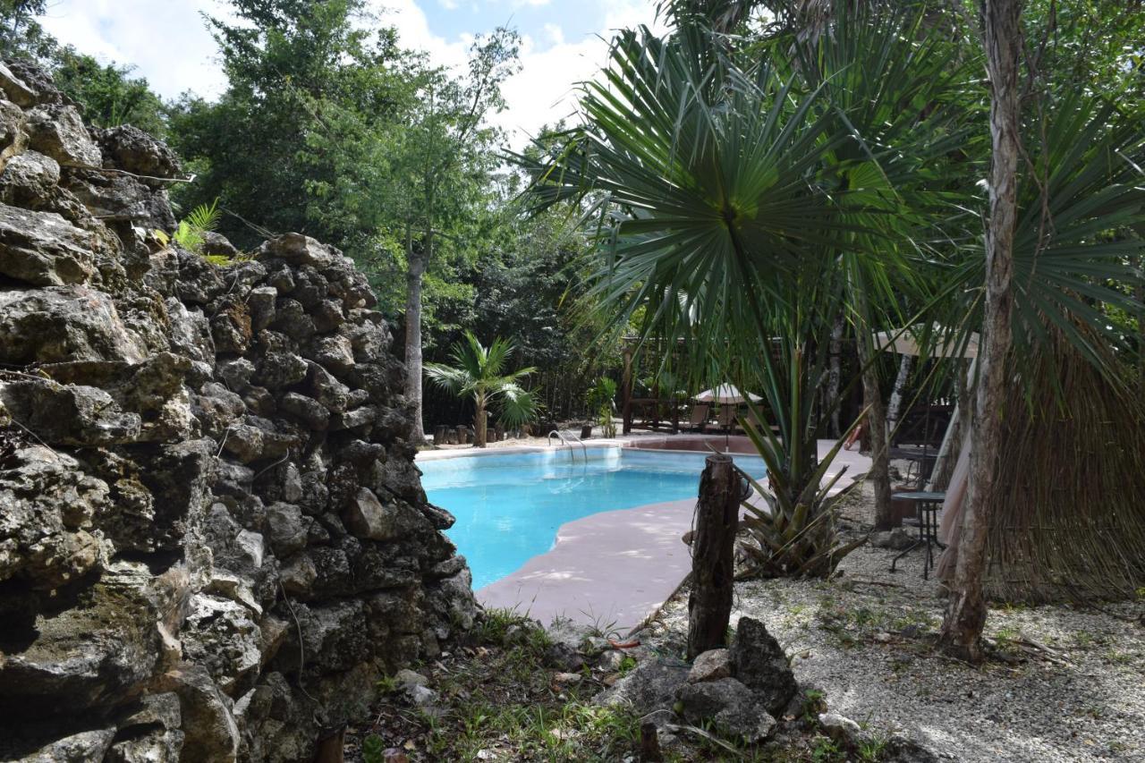Jolie Jungle Eco Hotel (Adults Only) Leona Vicario 외부 사진