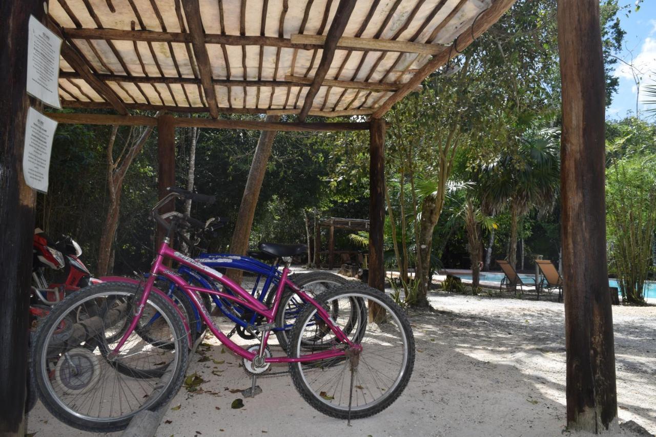 Jolie Jungle Eco Hotel (Adults Only) Leona Vicario 외부 사진