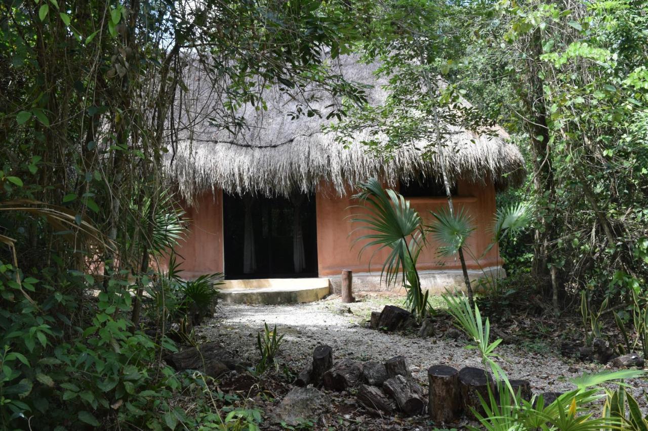 Jolie Jungle Eco Hotel (Adults Only) Leona Vicario 외부 사진