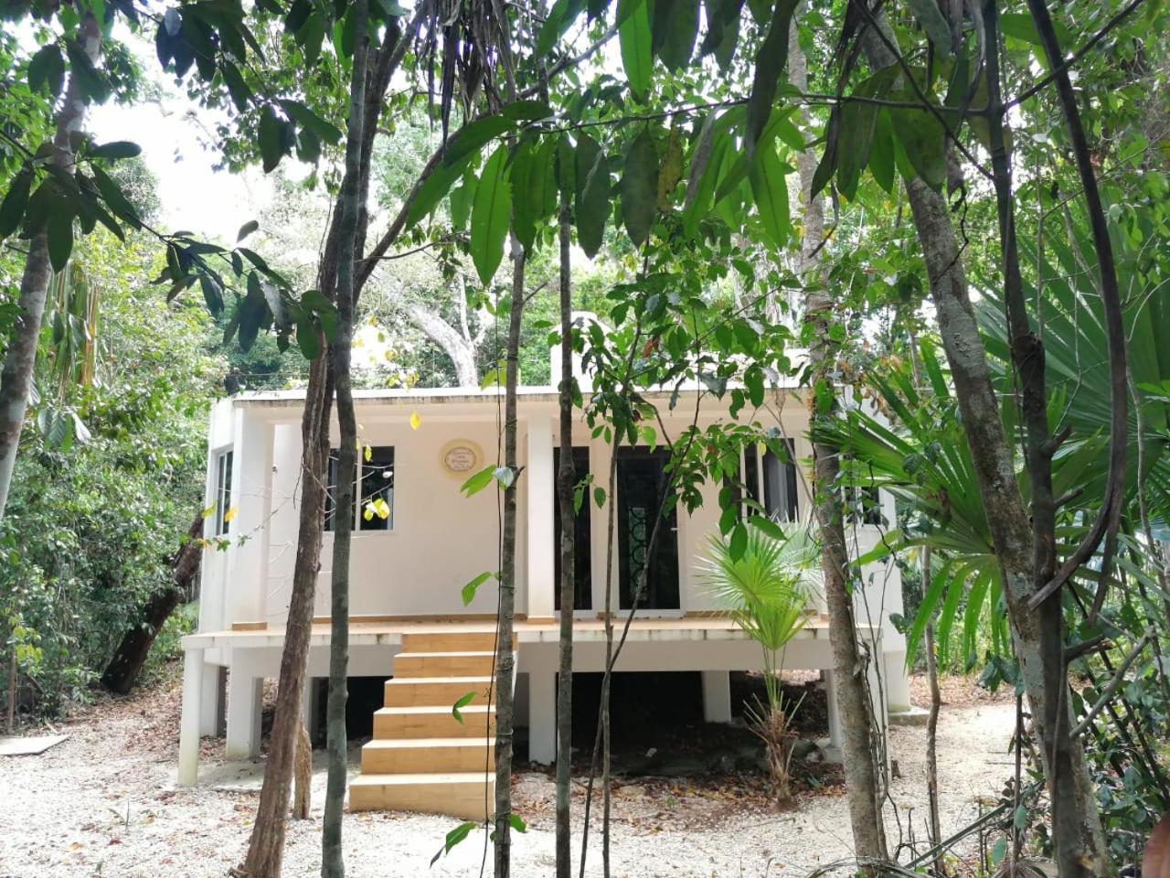 Jolie Jungle Eco Hotel (Adults Only) Leona Vicario 외부 사진