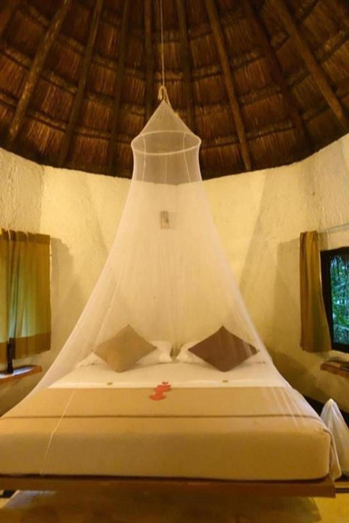 Jolie Jungle Eco Hotel (Adults Only) Leona Vicario 외부 사진