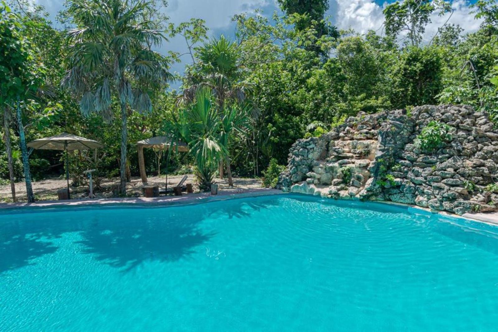 Jolie Jungle Eco Hotel (Adults Only) Leona Vicario 외부 사진