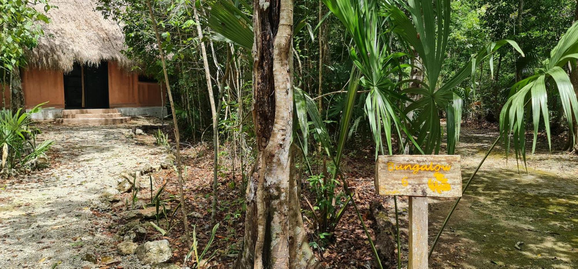 Jolie Jungle Eco Hotel (Adults Only) Leona Vicario 외부 사진