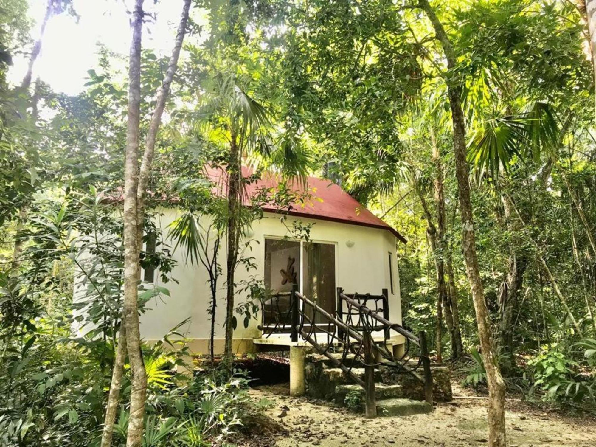 Jolie Jungle Eco Hotel (Adults Only) Leona Vicario 외부 사진