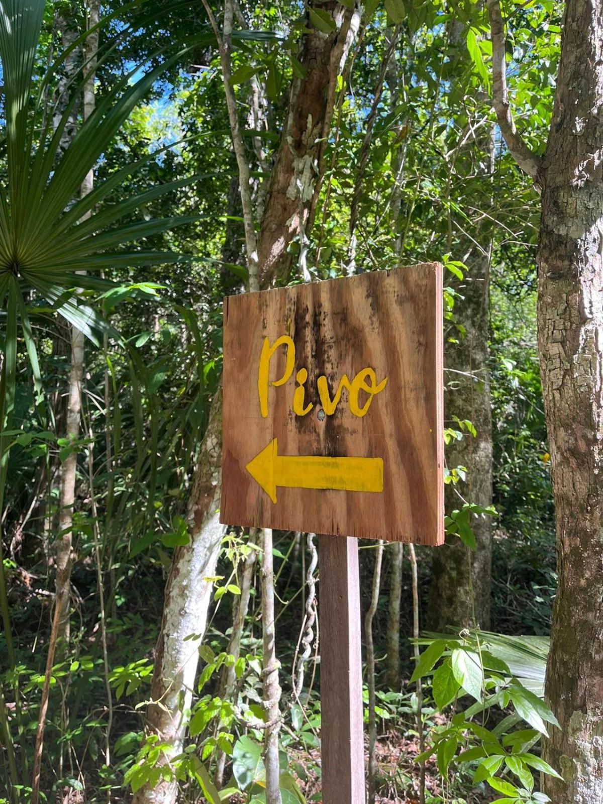Jolie Jungle Eco Hotel (Adults Only) Leona Vicario 객실 사진