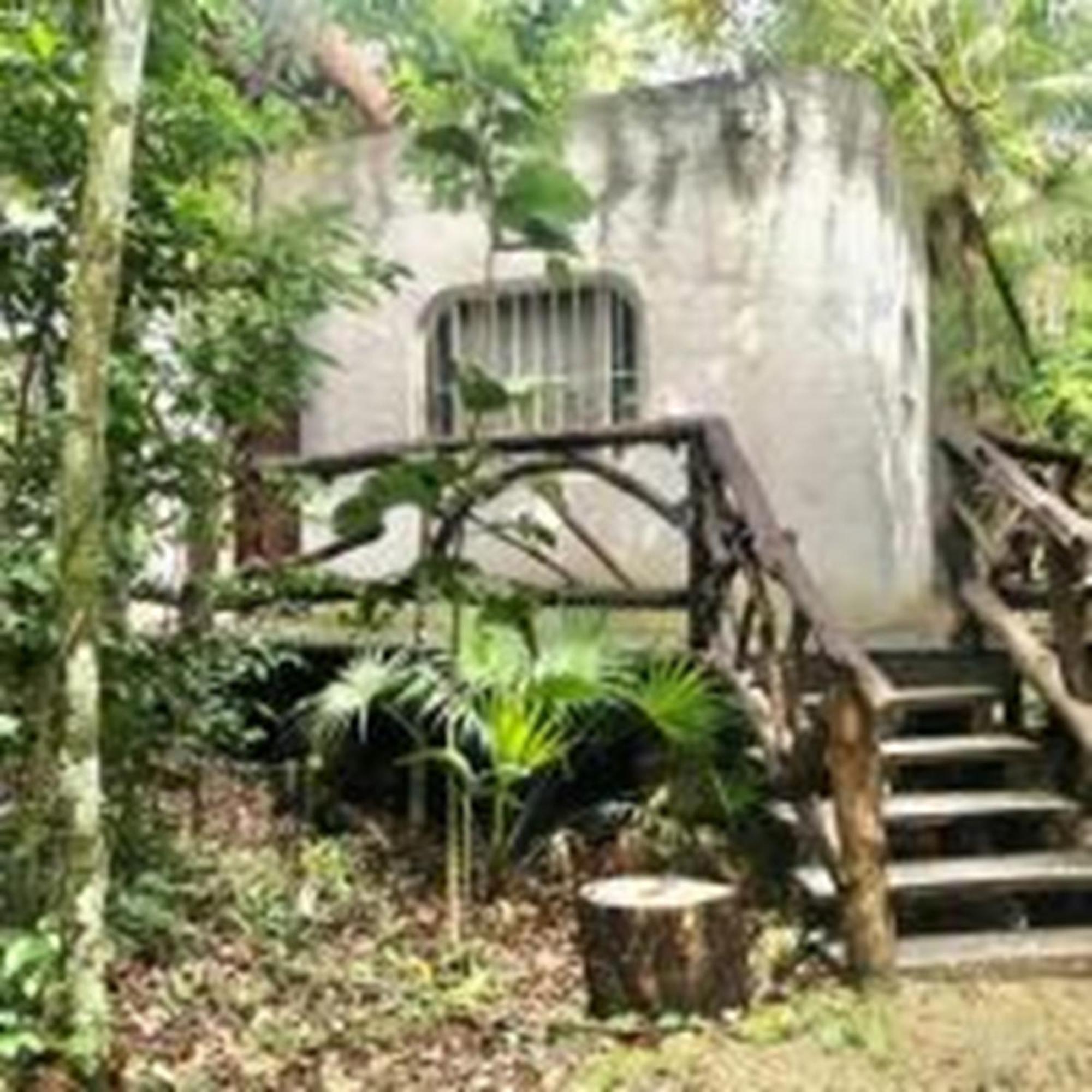 Jolie Jungle Eco Hotel (Adults Only) Leona Vicario 외부 사진