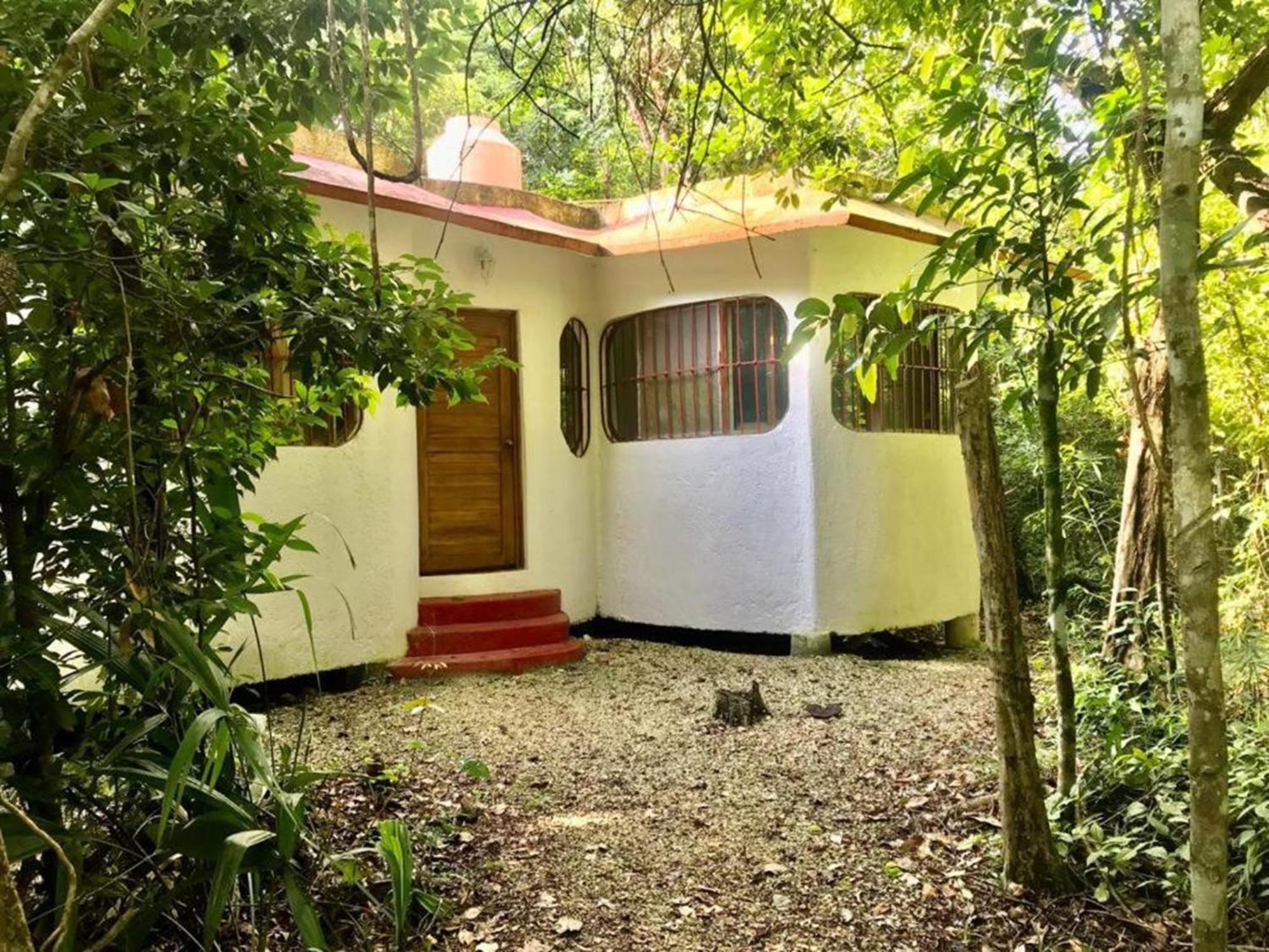 Jolie Jungle Eco Hotel (Adults Only) Leona Vicario 외부 사진