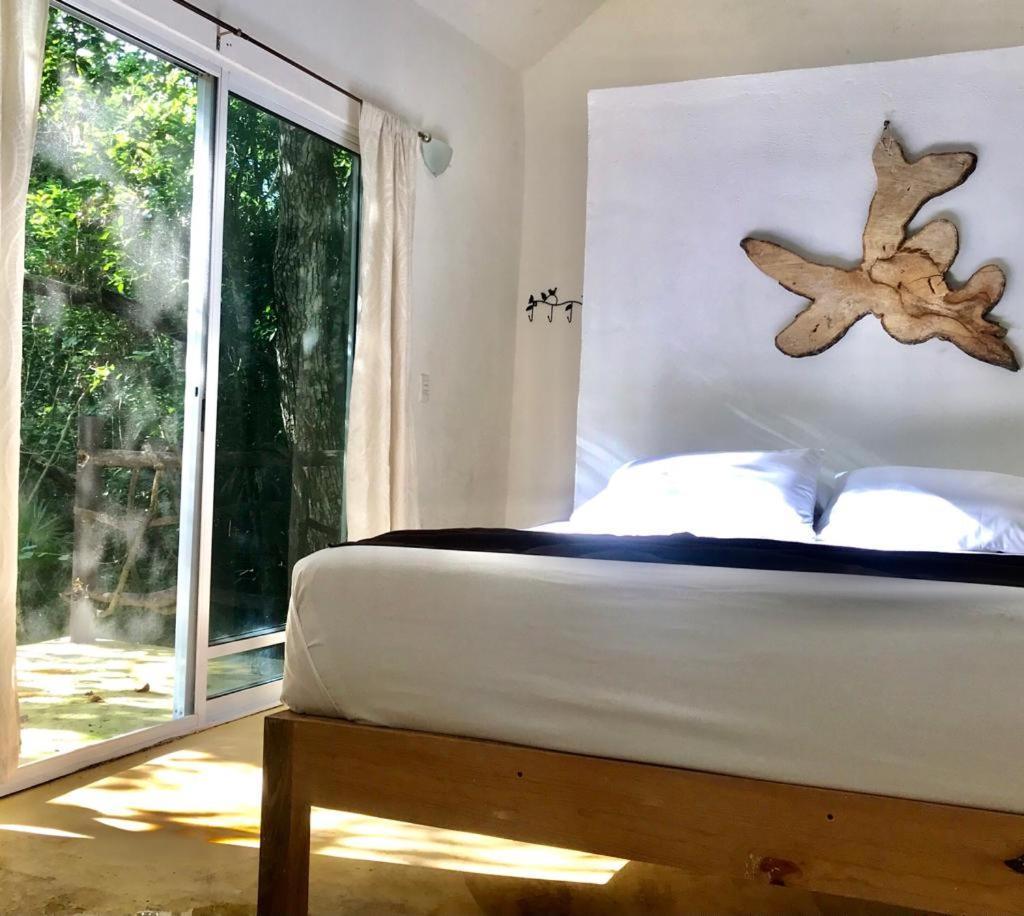 Jolie Jungle Eco Hotel (Adults Only) Leona Vicario 외부 사진