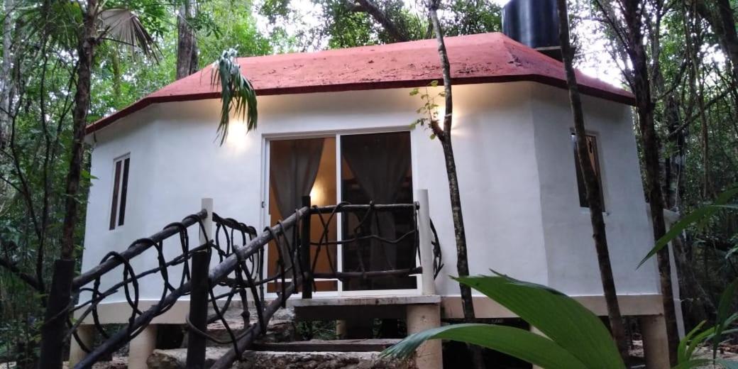Jolie Jungle Eco Hotel (Adults Only) Leona Vicario 외부 사진